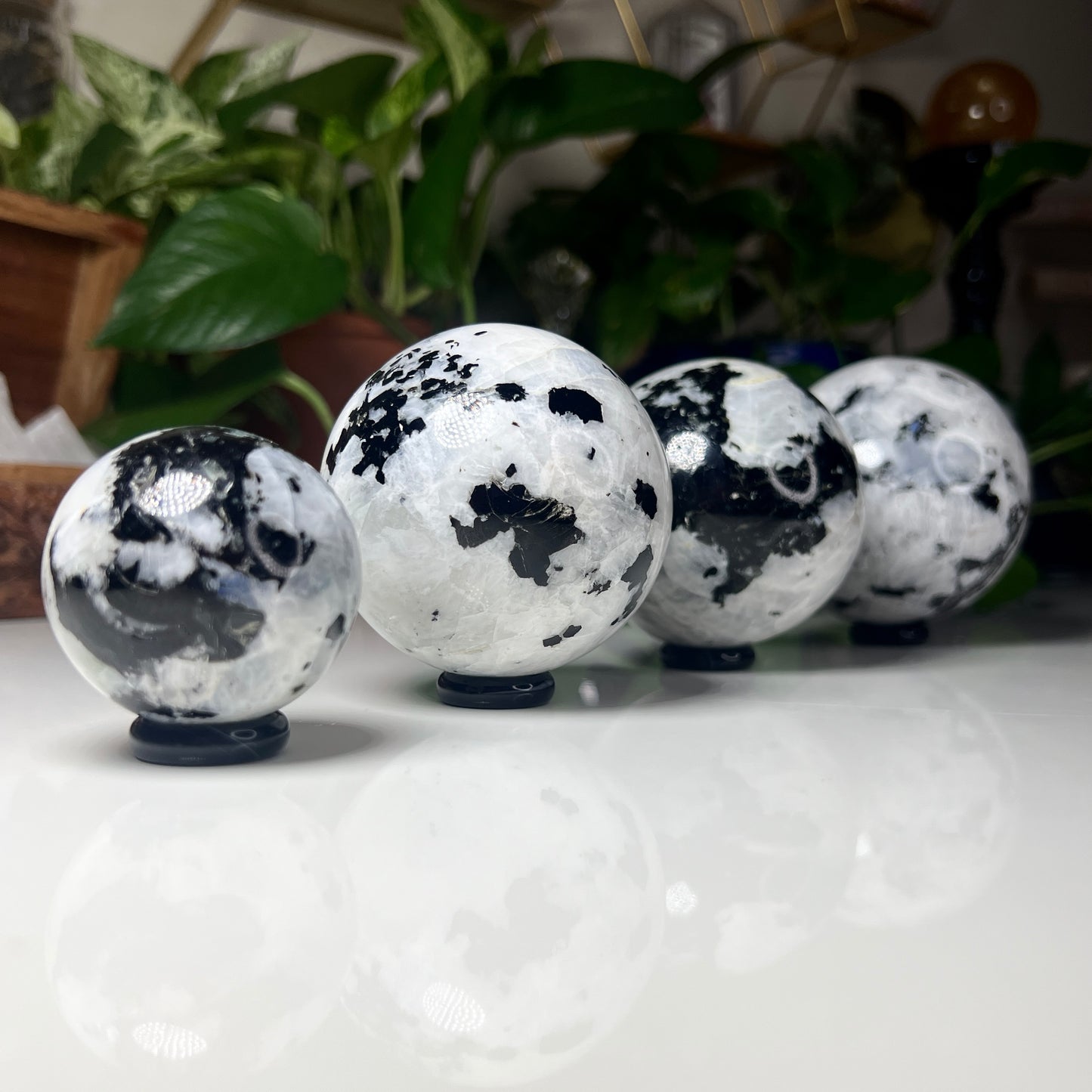 Large Moonstone Spheres