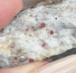 Idaho Garnet