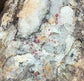 Idaho Garnet