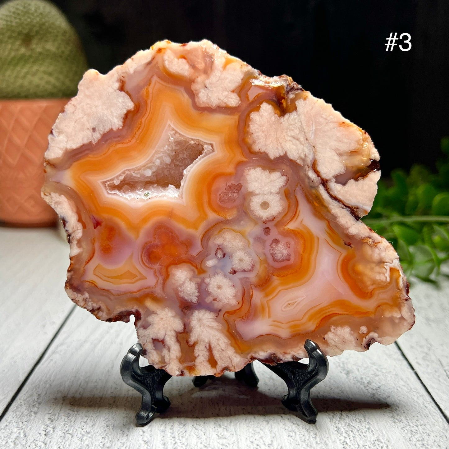 Carnelian and Flower Agate Slabs