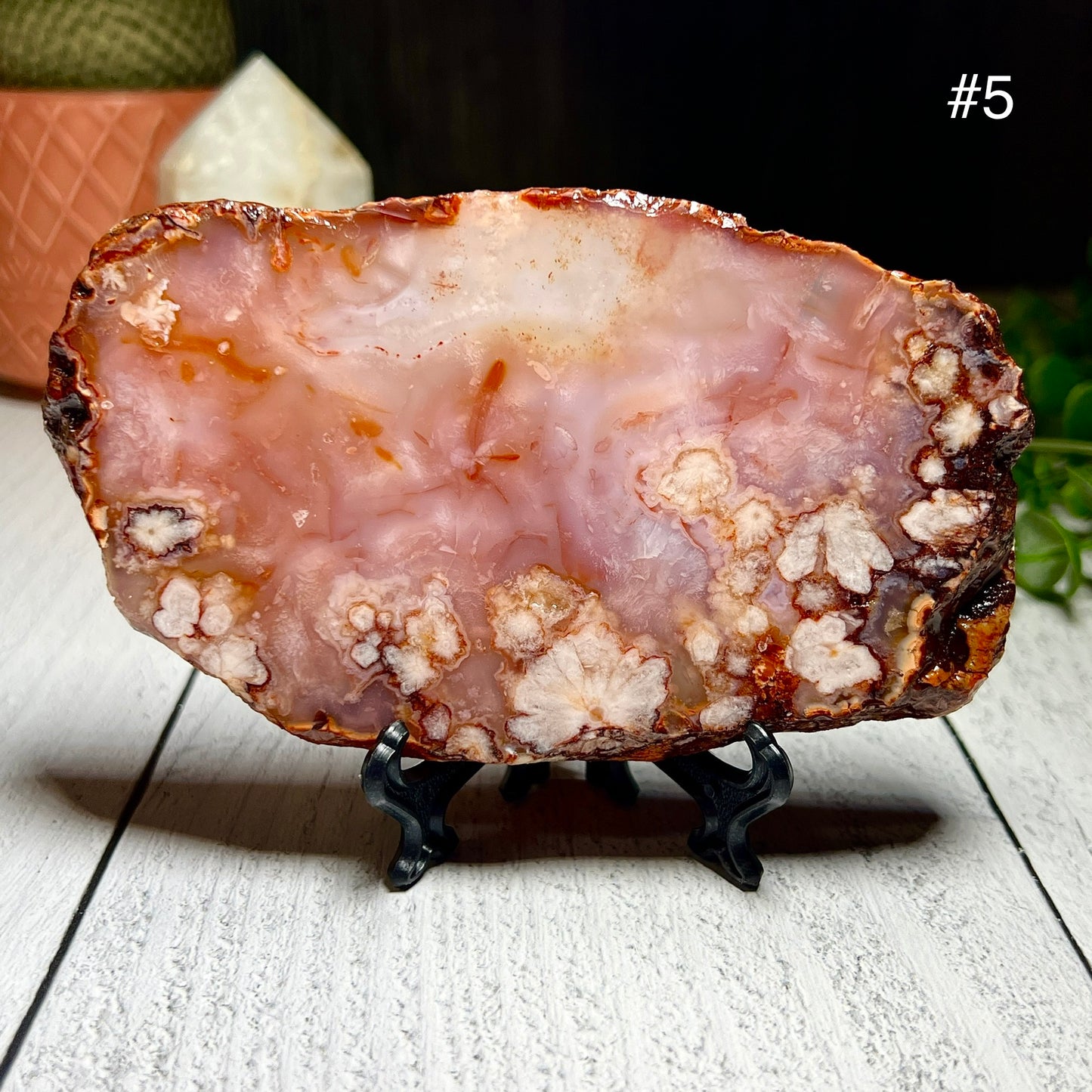 Carnelian and Flower Agate Slabs