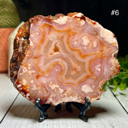 Carnelian and Flower Agate Slabs