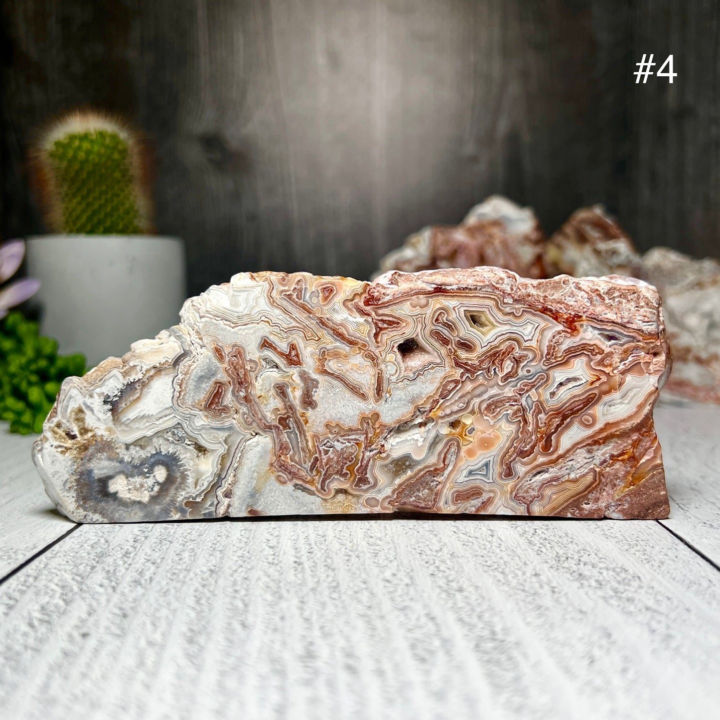 Mexico Crazy Lace Agate Slabs