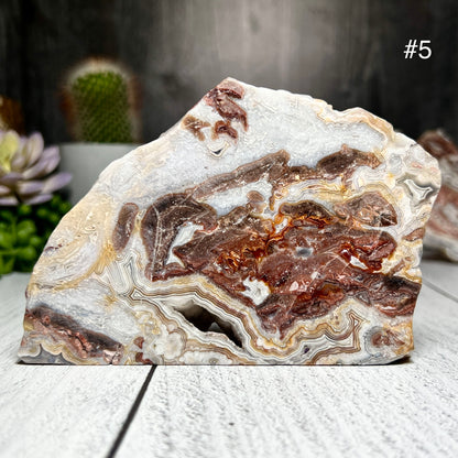 Mexico Crazy Lace Agate Slabs