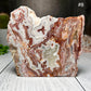 Mexico Crazy Lace Agate Slabs