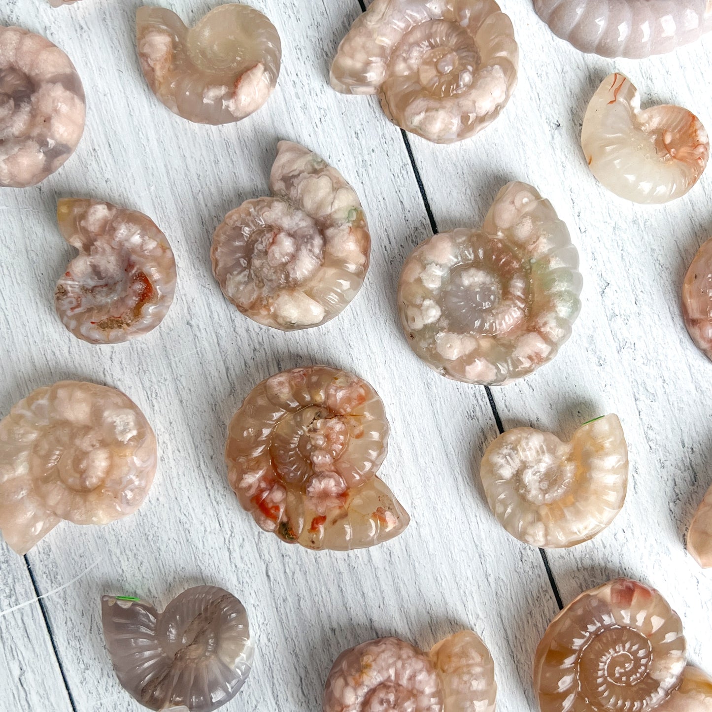 Flower Agate Shell