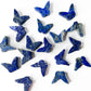 Drilled Butterflies