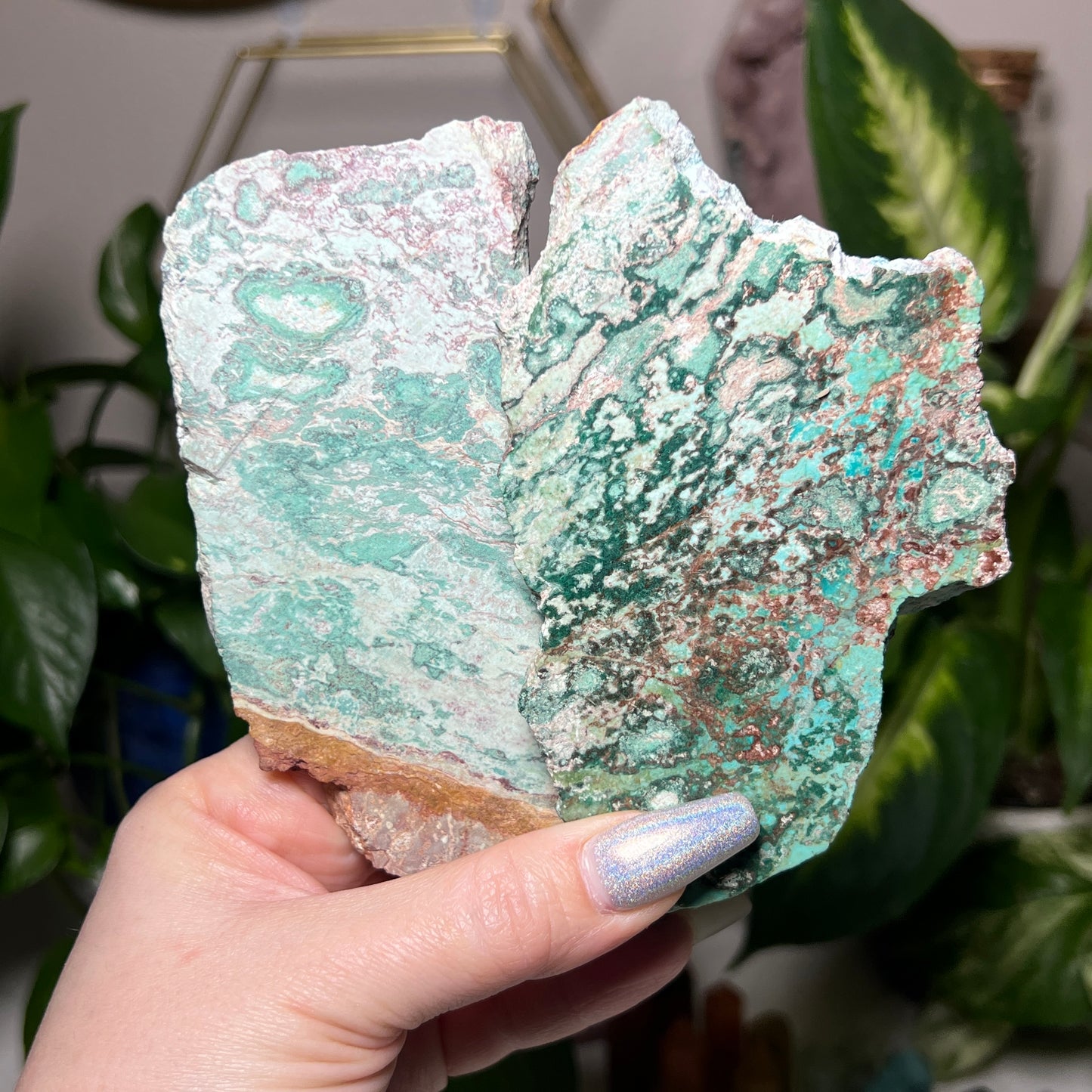 Rare Turquoise Chrysocolla Slabs