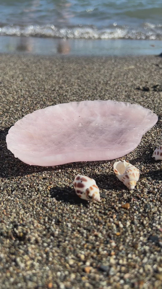 Rose Quartz Shell Bowl