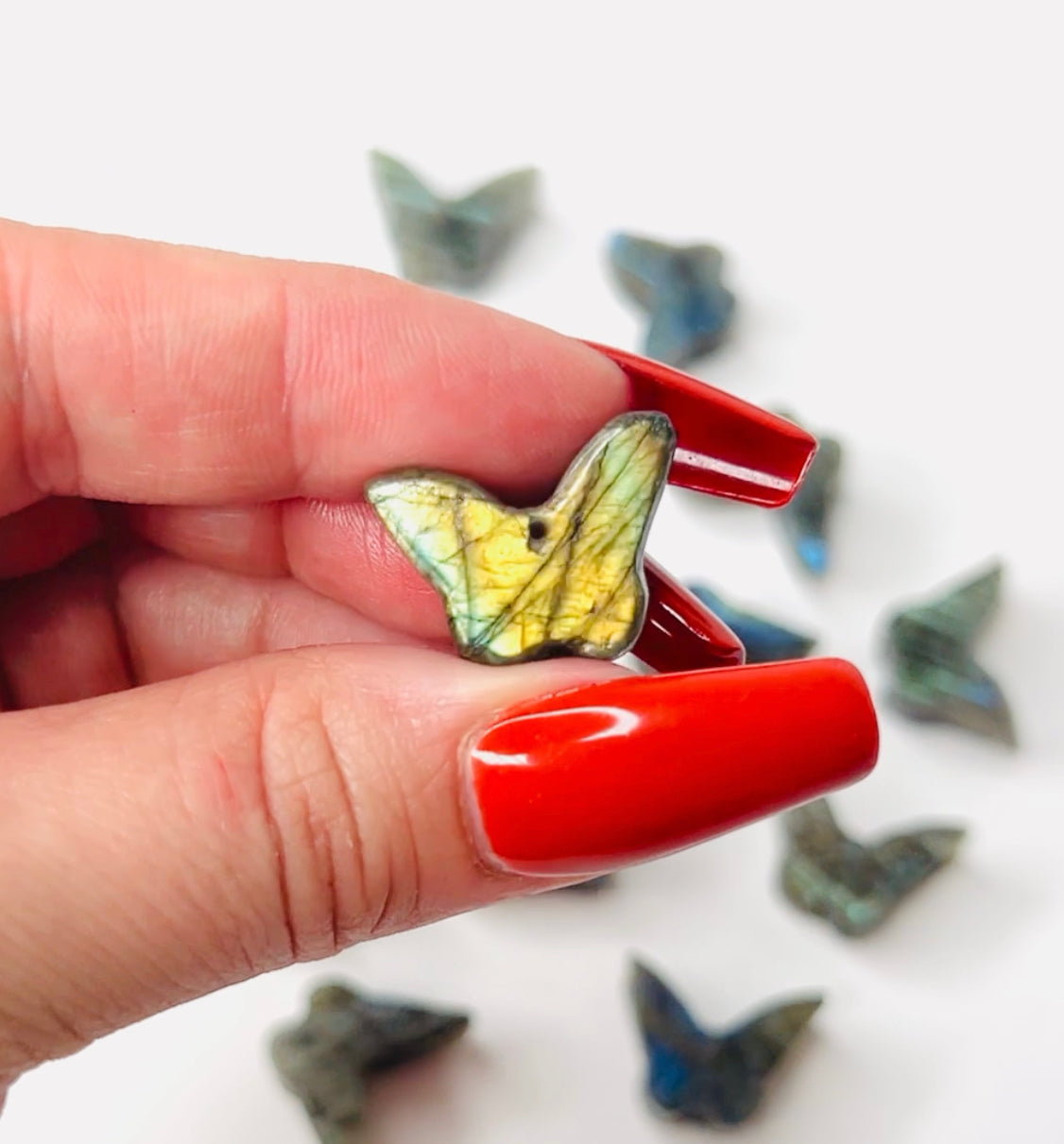 Drilled Butterflies