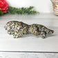 Dalmatian Jasper Leopard