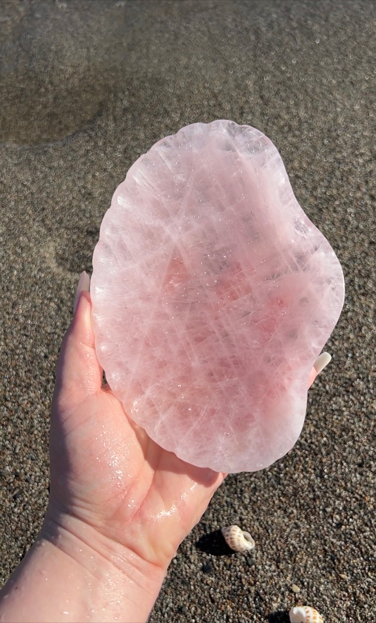 Rose Quartz Shell Bowl