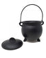 Cast Iron Cauldron